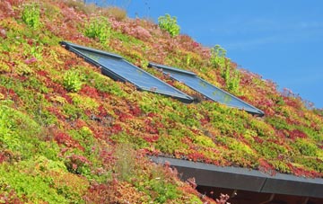 Walton On The Naze living roof systems